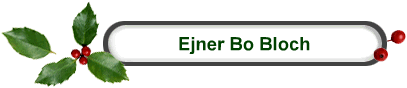 Ejner Bo Bloch